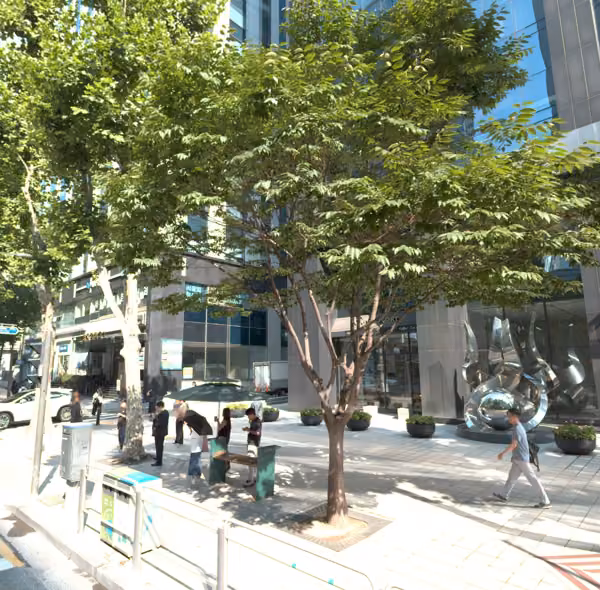 tree photo