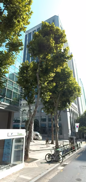 tree photo