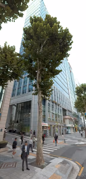 tree photo