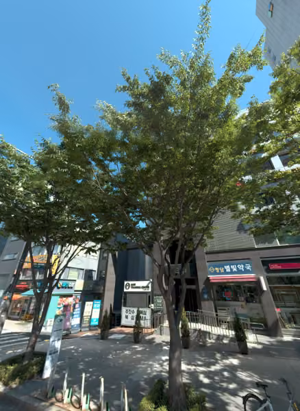 tree photo