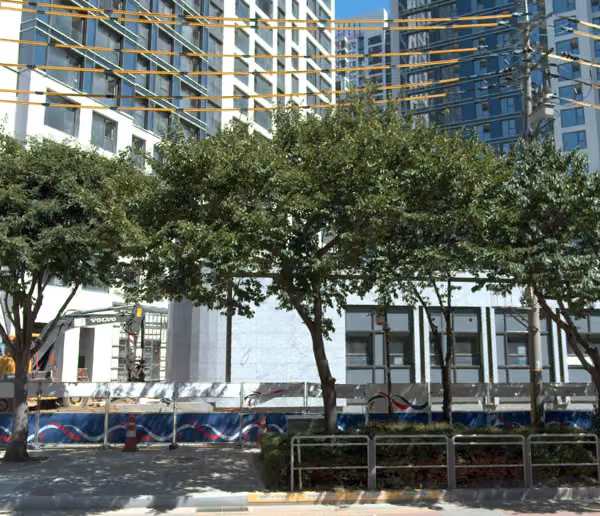 tree photo