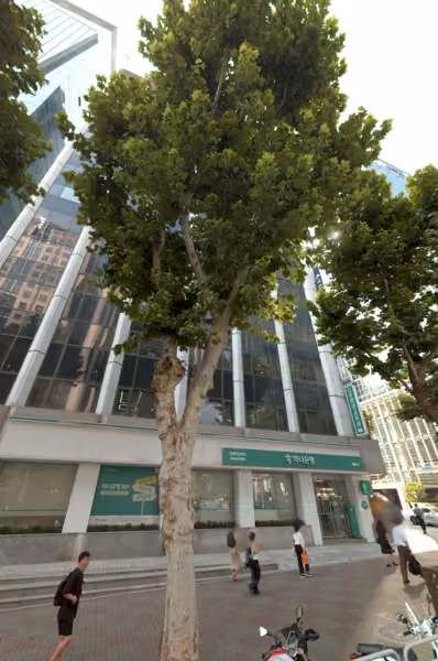 tree photo