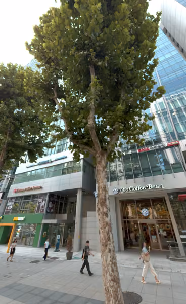 tree photo
