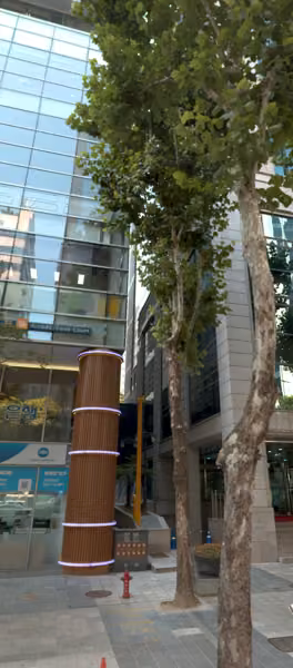 tree photo