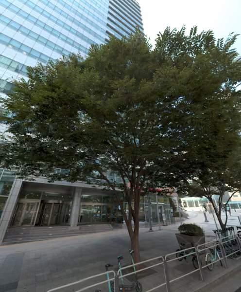 tree photo