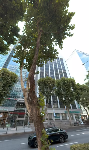 tree photo