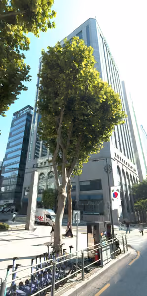 tree photo