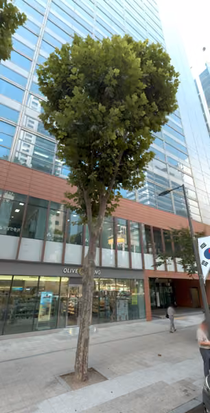 tree photo