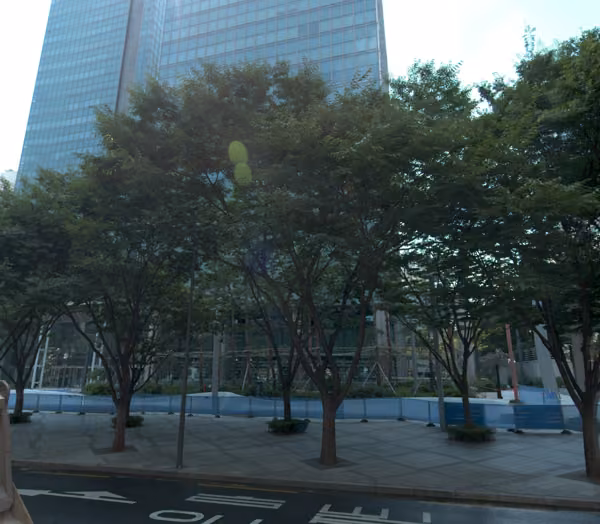 tree photo
