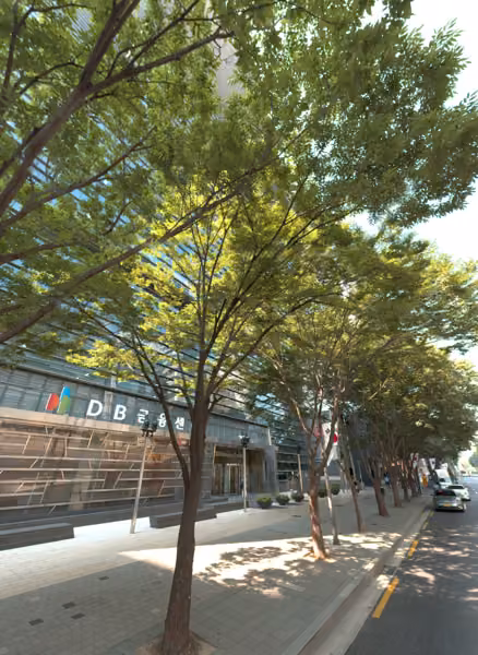 tree photo