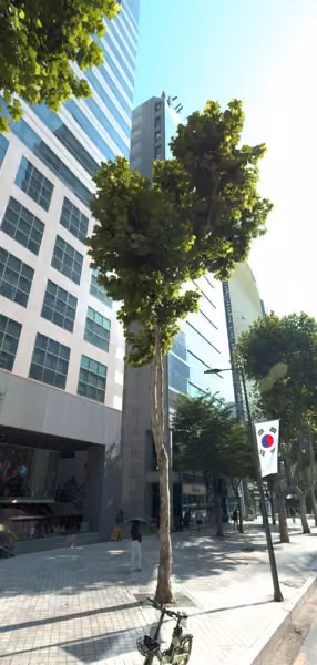 tree photo