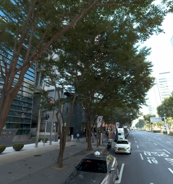 tree photo