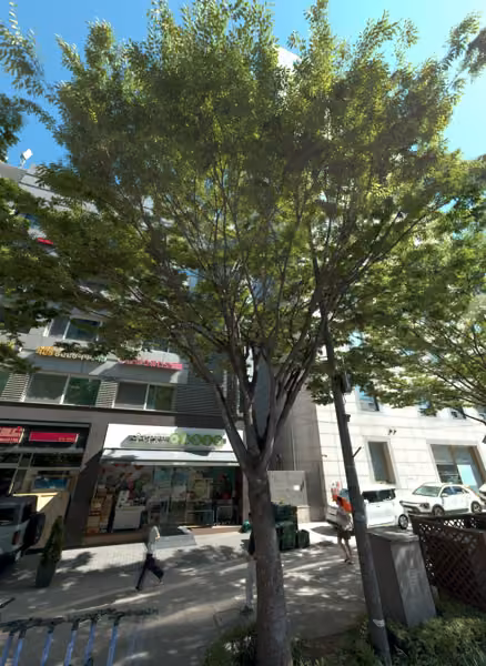tree photo