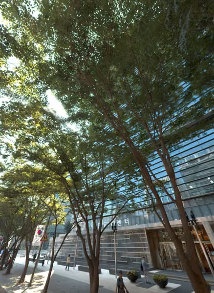tree photo