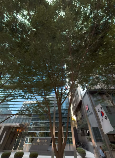 tree photo