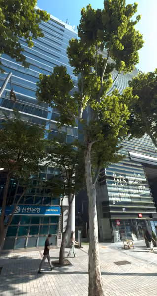 tree photo
