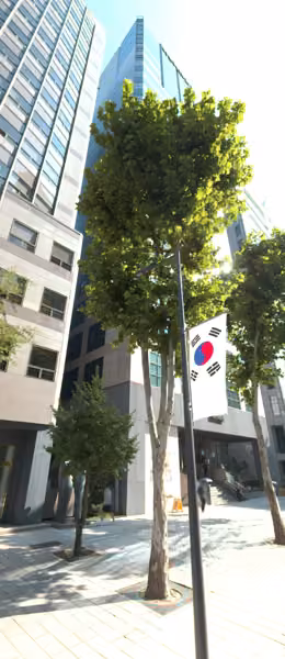 tree photo