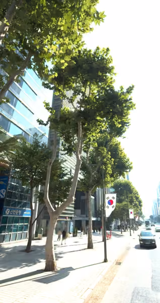 tree photo