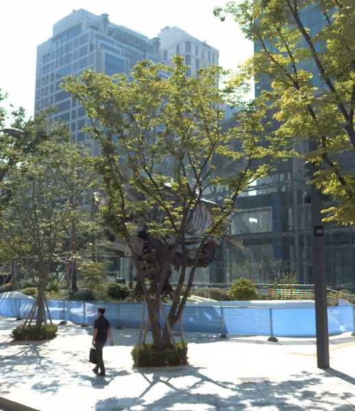 tree photo