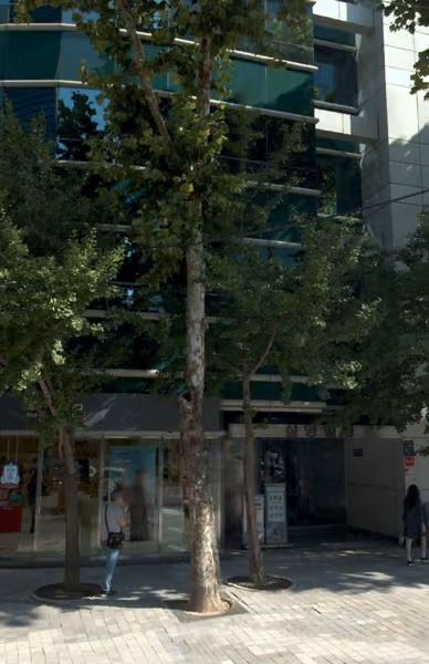 tree photo