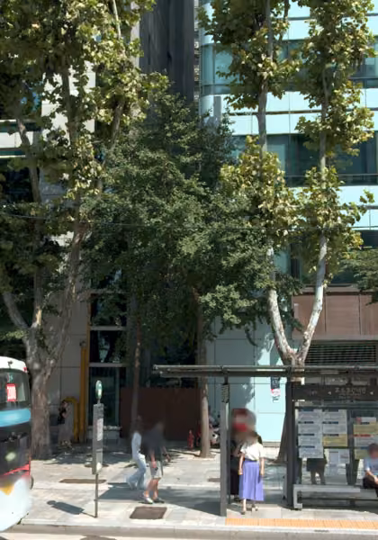 tree photo