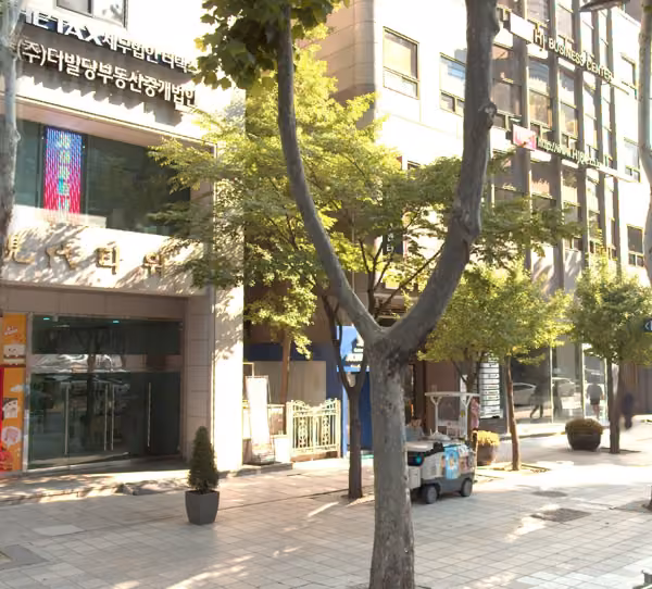 tree photo