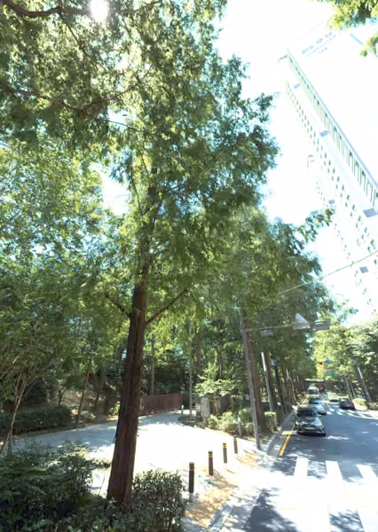tree photo