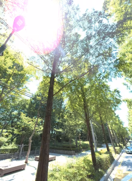 tree photo