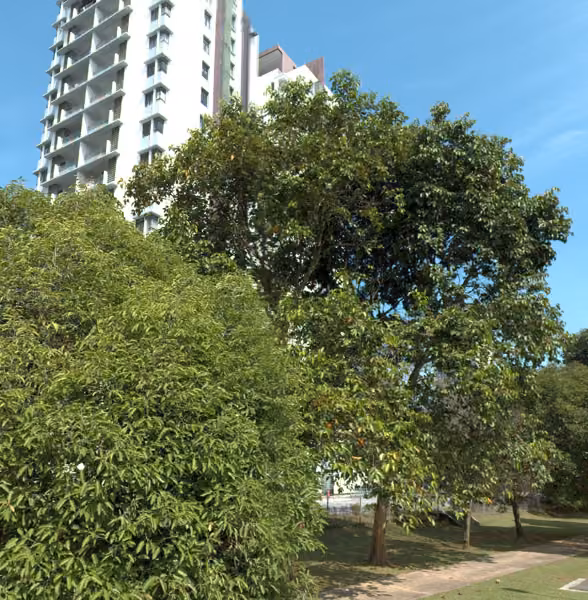 tree photo