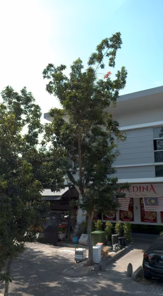 tree photo