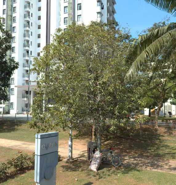 tree photo