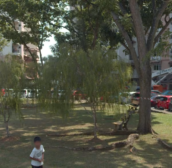 tree photo