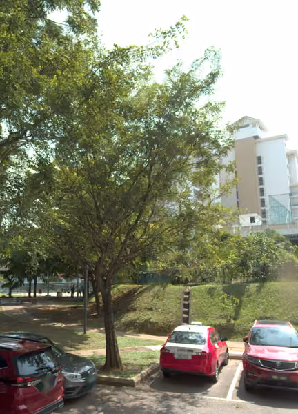 tree photo