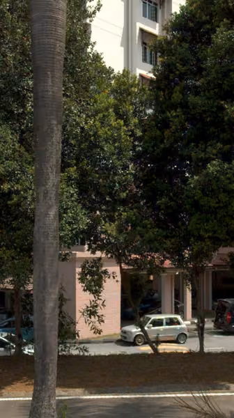 tree photo
