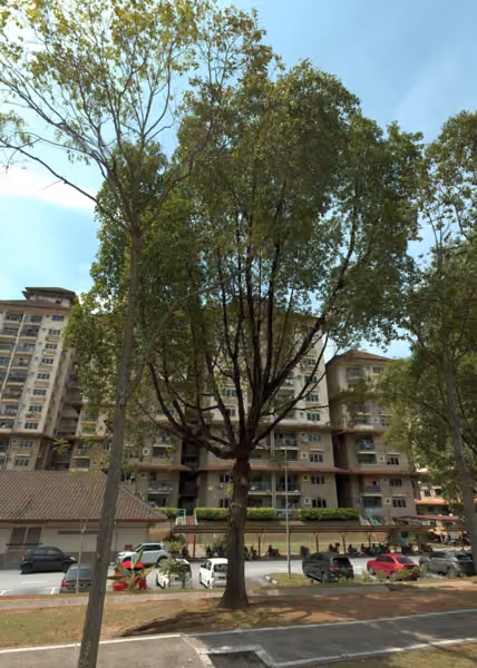 tree photo