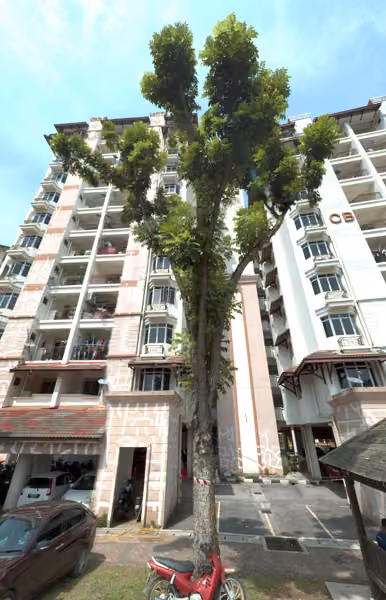 tree photo
