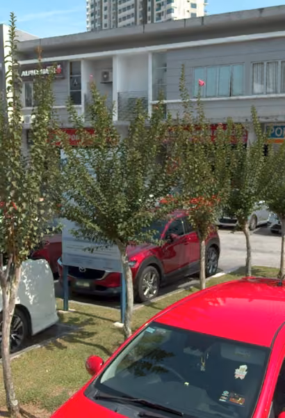 tree photo