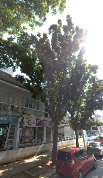 tree photo