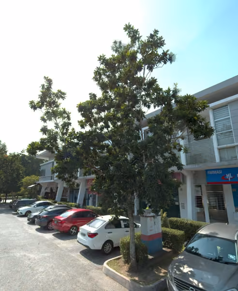 tree photo