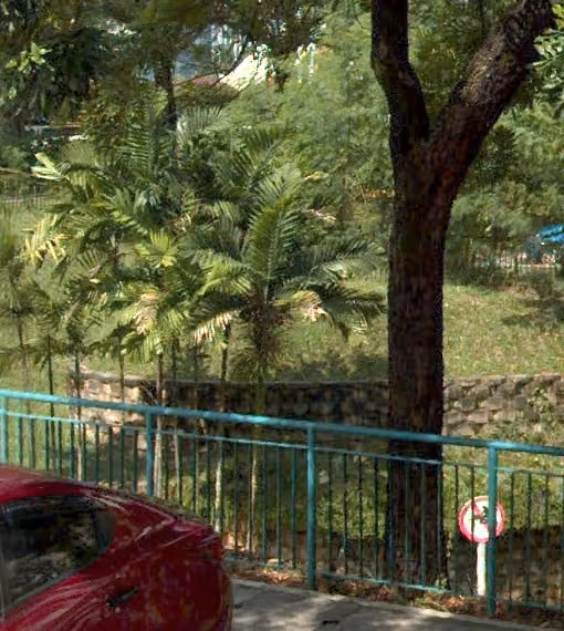tree photo