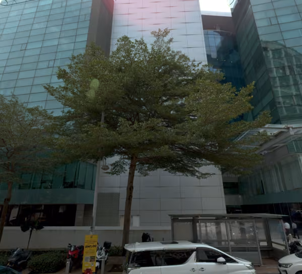 tree photo