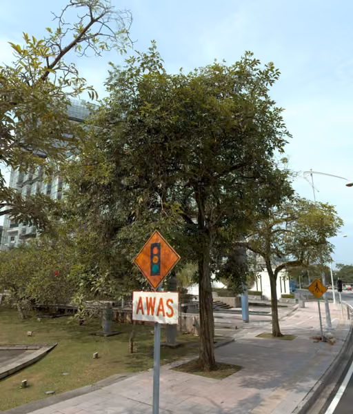 tree photo