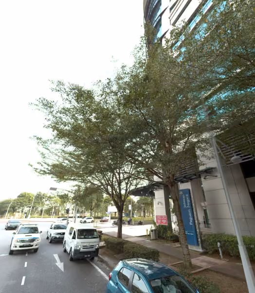 tree photo