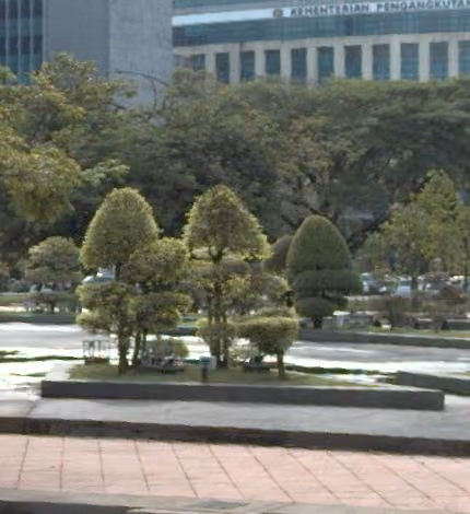 tree photo