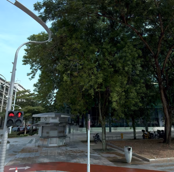 tree photo