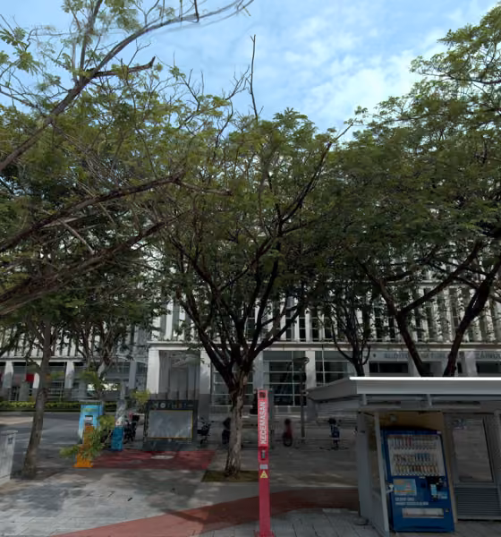 tree photo