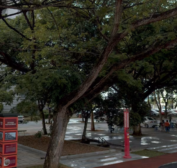 tree photo