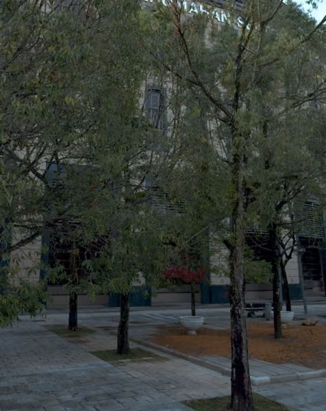 tree photo