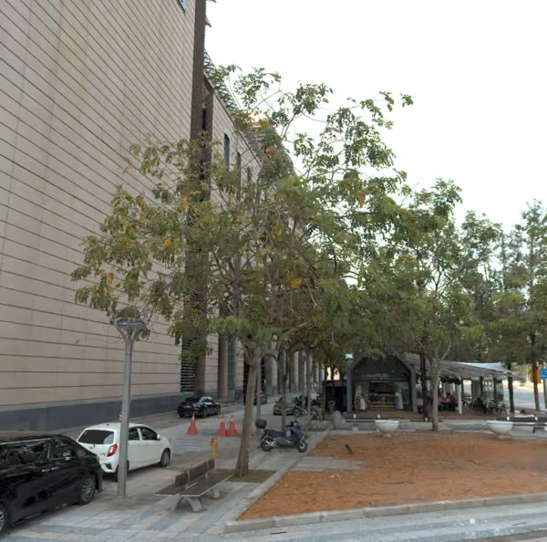 tree photo