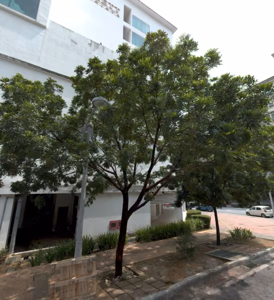 tree photo